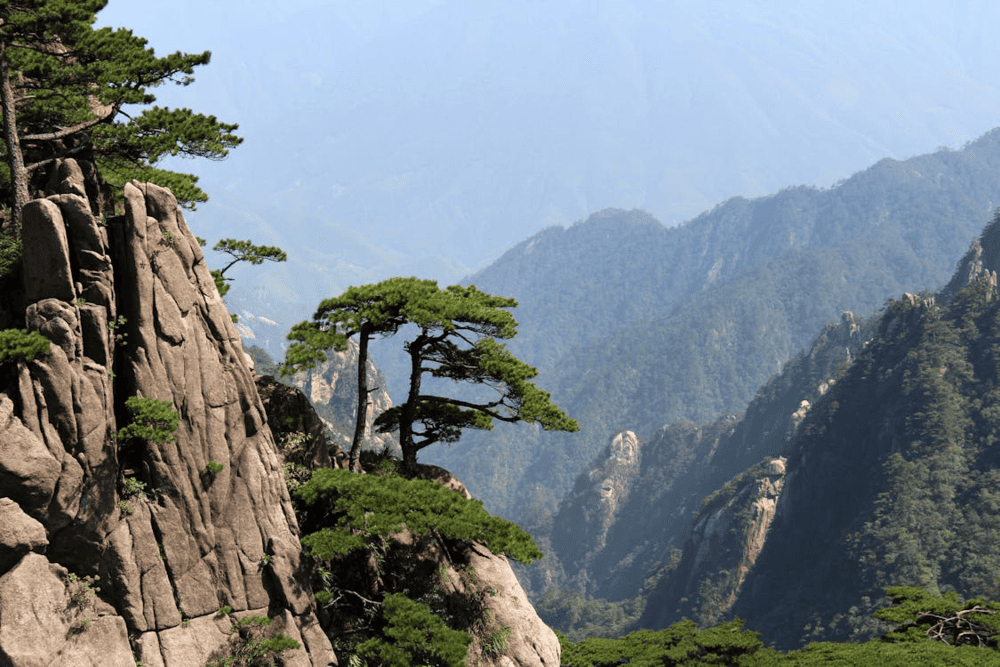 Granite peaks rising above thick cloud seas have made Huangshan a staple in classical Chinese art (Source: Pexels)